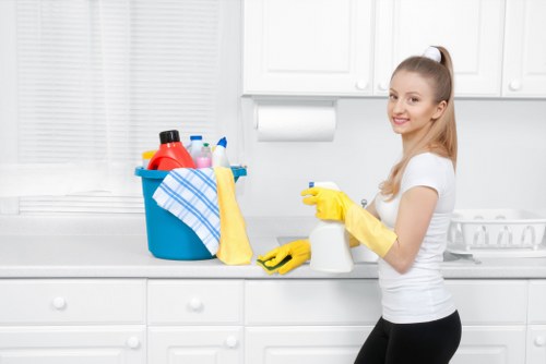 Clean oven interior with upholstery cleaner