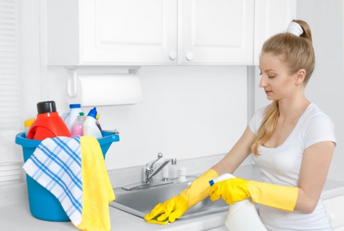 Eco-friendly cleaning solutions in action