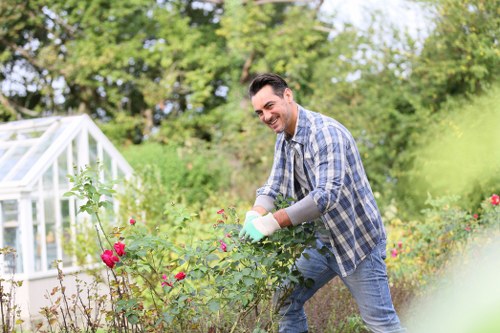 Eco-friendly carpet cleaning solutions