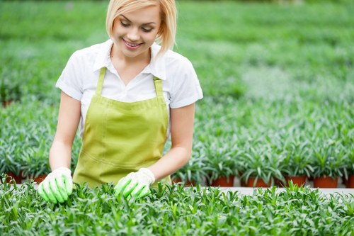 Selecting eco-friendly carpet shampoo for furniture