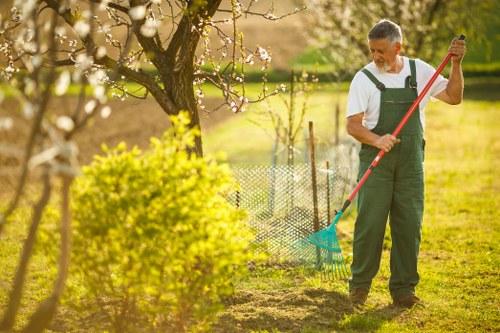Professional upholstery cleaning services using carpet shampoo